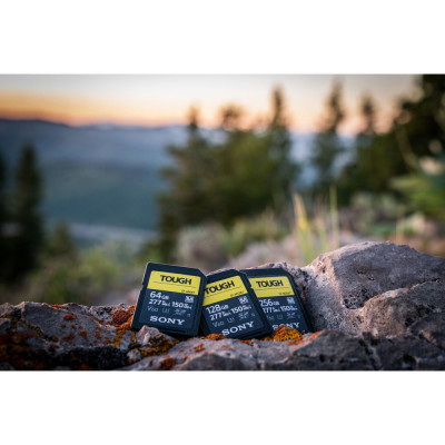 Sony SF-M Series UHS-II SDXC 512 Гб SF-M512/T2 Sony SF-M Series UHS-II SDXC 512 Гб SF-M512/T2