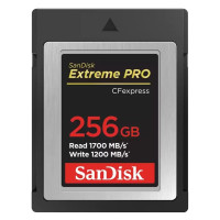 Карта памяти SanDisk Extreme Pro CFexpress Type 256 Гб R/W 1700/1200 МБ/с SDCFE-256G