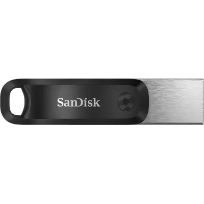 Флешка SanDisk iXpand GO 256ГБ Silver/Black