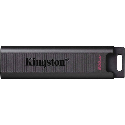 USB флеш-накопитель 256 Гб Kingston DTMAX/256Gb USB флеш-накопитель 256 Гб Kingston DTMAX/256Gb