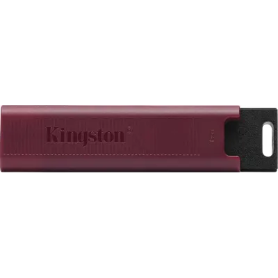 USB флеш-накопитель 1 Гб Kingston DTMAX/1Tb