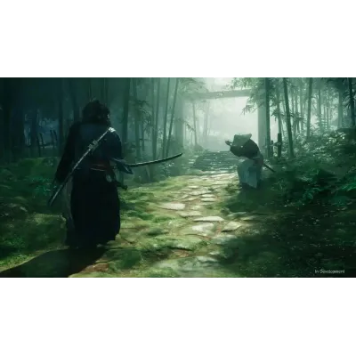 Игра Rise of the Ronin для PS5