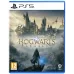 Игра Hogwarts Legacy (Хогвартс. Наследие) для PS5