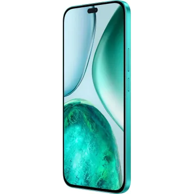 069365208279 Honor в Москве - BlinkDepot