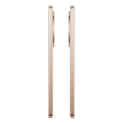 Realme 13+ 12/256 ГБ, бронзовый