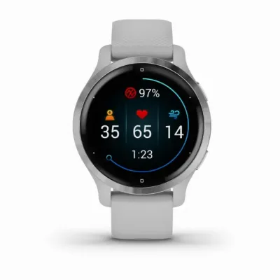 Умные часы Garmin Venu 2S, серебристый