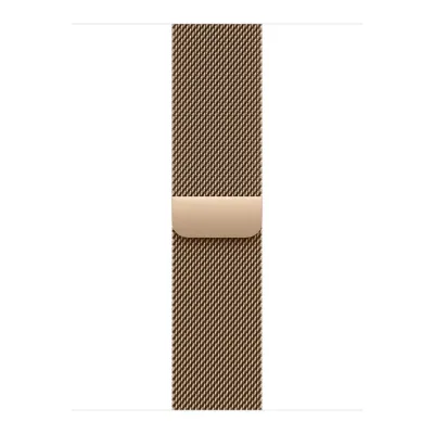 Умные часы Apple Watch Series 11 46mm Gold Titanium Case with Gold Milanese Loop (S/M)
