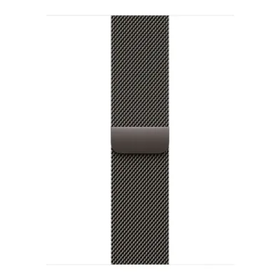 Умные часы Apple Watch Series 11 46mm Slate Titanium Case with Slate Milanese Loop (M/L)