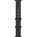 Умные часы Apple Watch Ultra 2 2024 49mm Black Titanium Case with Black Ocean Band