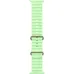 Умные часы Apple Watch Ultra 3 2025 49mm Natural Titanium Case with Neon Green Ocean Band