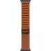 Apple Watch Ultra 3 49мм Black Titanium Case, Terra Cotta Alpine Loop (L)