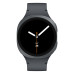 Samsung Galaxy Watch 8 40 мм, графитовый Samsung Galaxy Watch 8 40 мм, графитовый